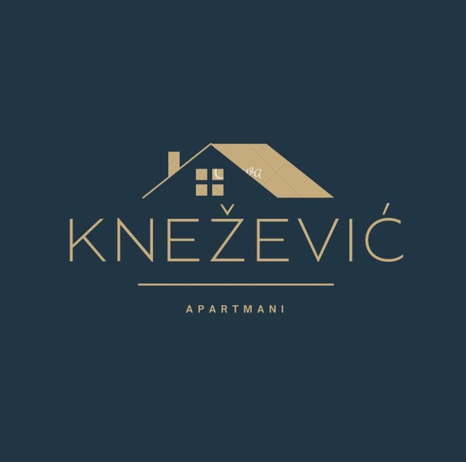 Knezevic Apartman Podgorica Kültér fotó