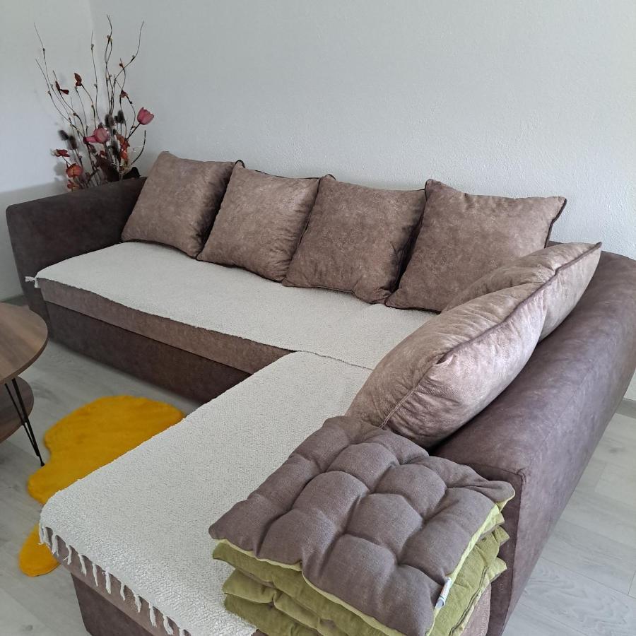 Knezevic Apartman Podgorica Kültér fotó