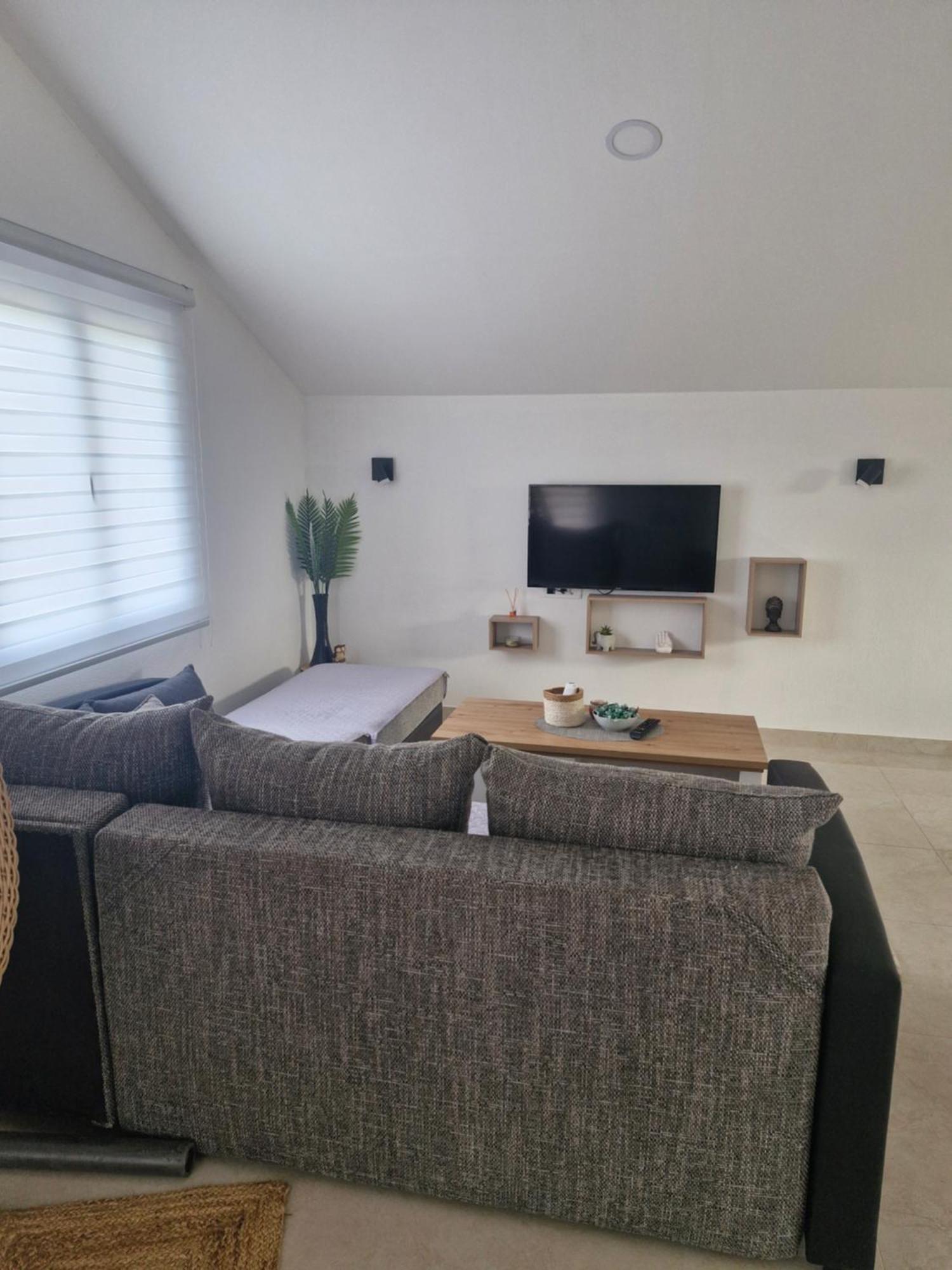 Knezevic Apartman Podgorica Kültér fotó