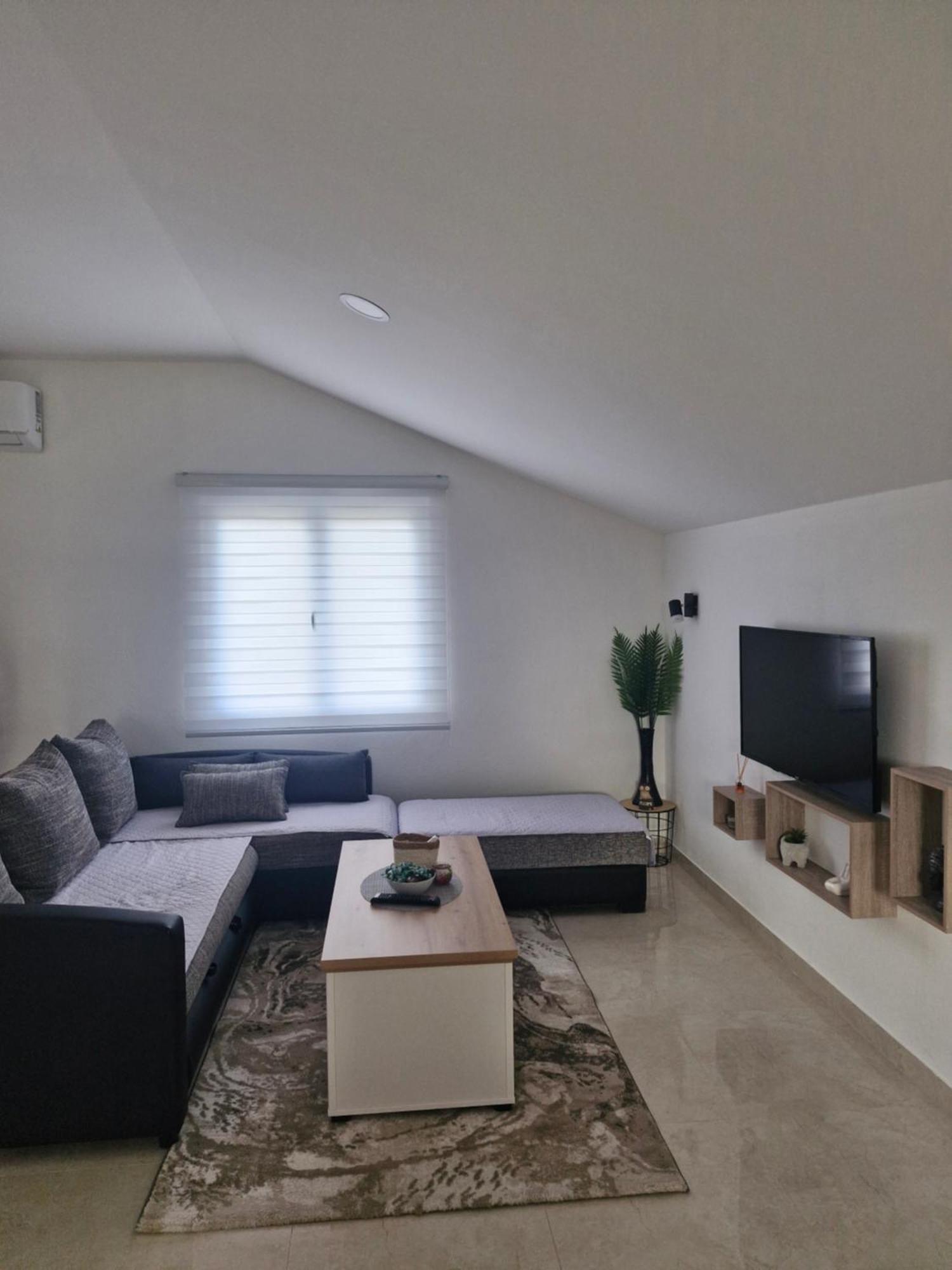 Knezevic Apartman Podgorica Kültér fotó